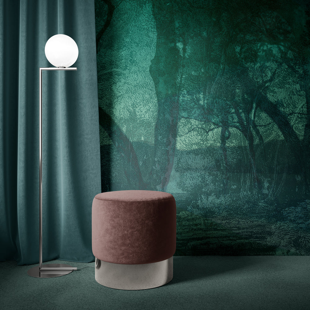 The awakening of the forest