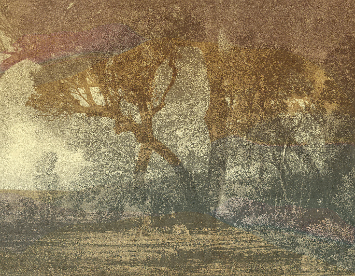 The awakening of the forest