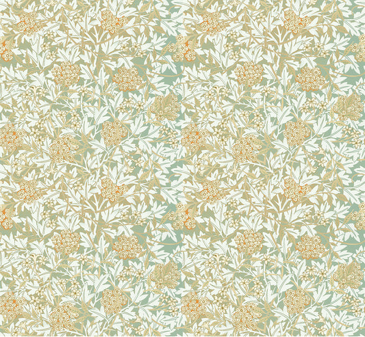 Jasmine and hawthorn