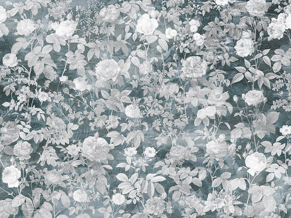Paeonia