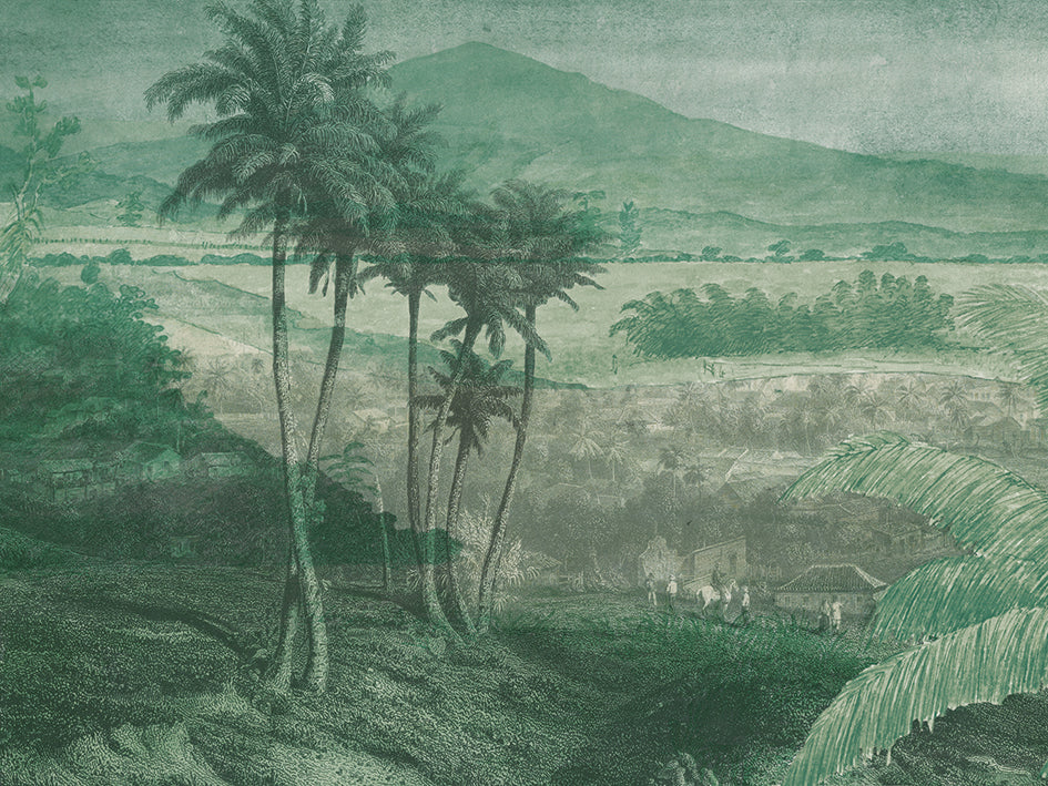 Paysage lointain
