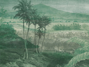 Paysage lointain