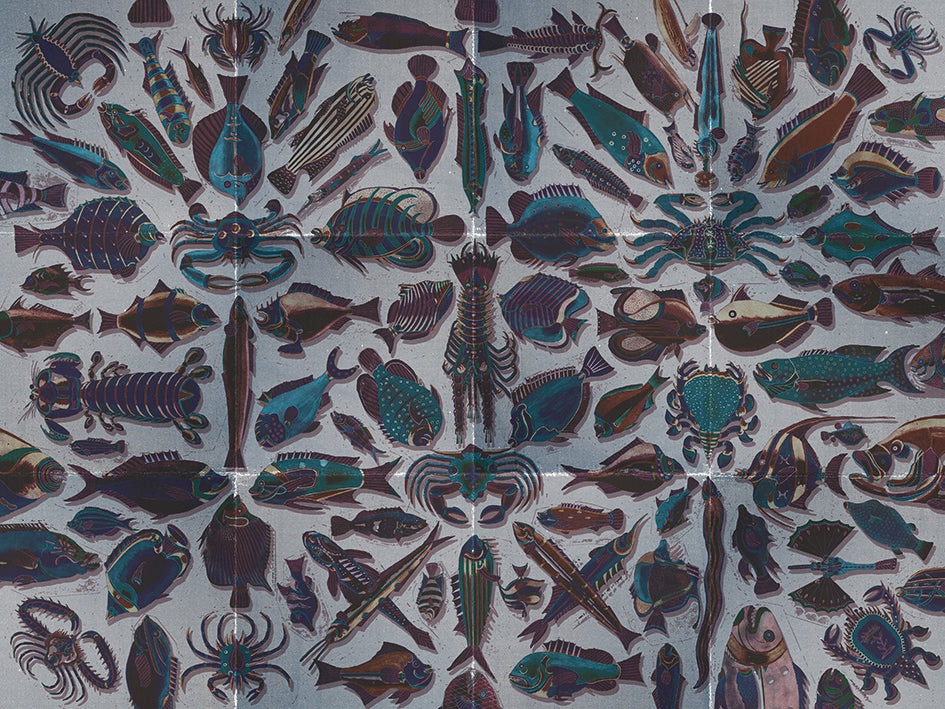 Poissons du Mangi