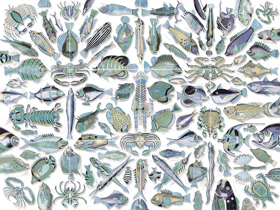 Poissons du Mangi