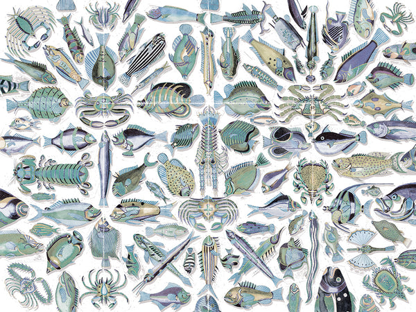 Poissons du Mangi