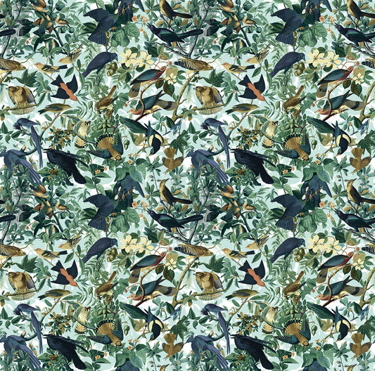 The kingdom of birds