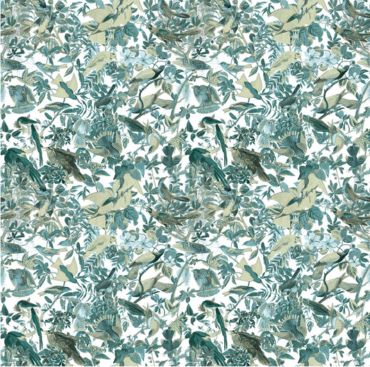 The kingdom of birds